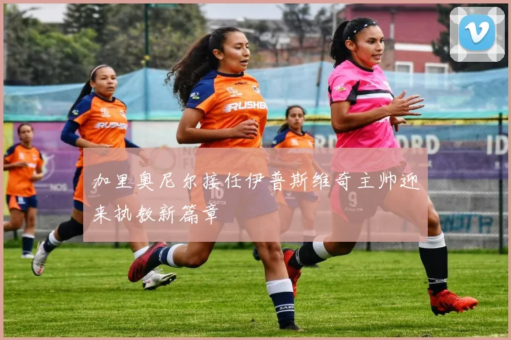 加里奥尼尔接任伊普斯维奇主帅迎来执教新篇章