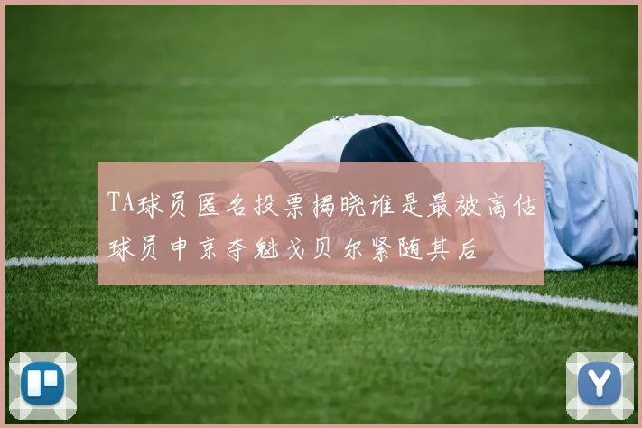 TA球员匿名投票揭晓谁是最被高估球员申京夺魁戈贝尔紧随其后